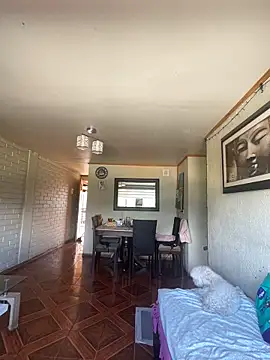 Lalolachilena online show from February 28, 2026, 6:07 pm