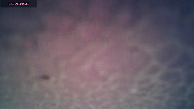 Snapshot of SexDiffrent chatting on November 27, 2025, 7:36 pm SexDiffrent online show from November 27, 2025, 7:36 pm