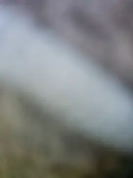 fuckineverett online show from March 15, 2025, 3:48 pm