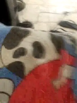 Snapshot of vcsxvbx chatting on February 15, 2026, 5:23 pm vcsxvbx online show from February 15, 2026, 5:23 pm