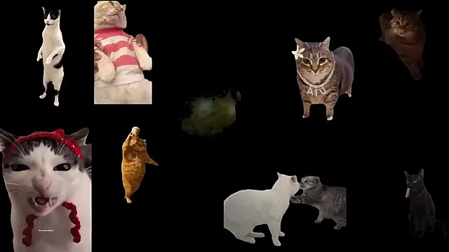 Snapshot of aberaaruba chatting on November 6, 2025, 2:43 pm aberaaruba online show from November 6, 2025, 2:43 pm