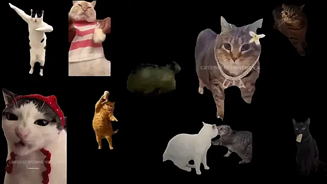 Snapshot of aberaaruba chatting on November 13, 2025, 1:26 pm aberaaruba online show from November 13, 2025, 1:26 pm