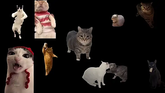 Snapshot of aberaaruba chatting on November 24, 2025, 3:23 pm aberaaruba online show from November 24, 2025, 3:23 pm