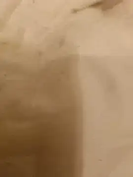 VirginSlaveBttm online show from June 17, 2026, 3:06 am