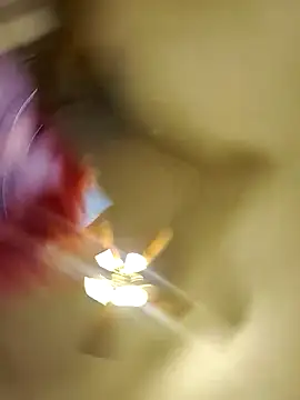 Cutegothcrybabyx online show from October 14, 2025, 11:25 pm