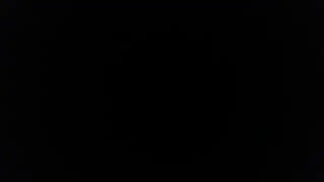 palidin1 online show from December 5, 2025, 7:45 pm