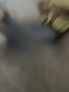 Snapshot of HHHHHxxn chatting on March 24, 2026, 5:29 am HHHHHxxn online show from March 24, 2026, 5:29 am