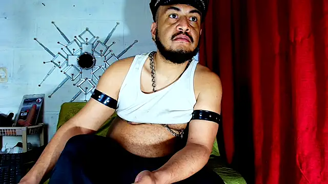 the master foal  online show from November 29, 2025, 11:10 am