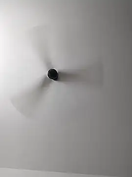 Snapshot of Srishtijain51 chatting on February 14, 2025, 8:21 am Srishtijain51 online show from February 14, 2025, 8:21 am