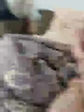 Snapshot of Yaramaz331 chatting on March 11, 2025, 10:29 am Yaramaz331 online show from March 11, 2025, 10:29 am