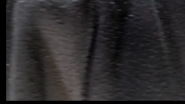 Snapshot of Justin_Frank chatting on February 22, 2026, 5:03 pm Justin Frank online show from February 22, 2026, 5:03 pm