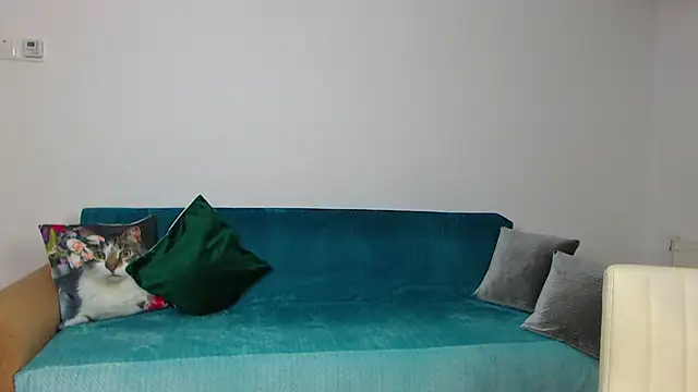 Snapshot of SaraDaisy chatting on February 26, 2025, 8:58 pm SaraDaisy online show from February 26, 2025, 8:58 pm