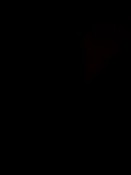 duggan12 online show from November 19, 2025, 2:22 am