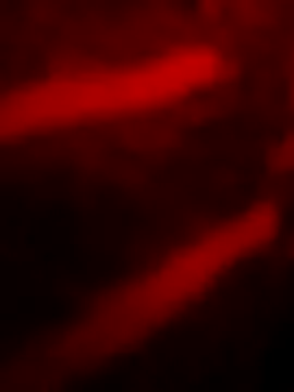 joliecu online show from May 16, 2026, 1:26 am
