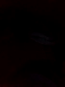 Snapshot of juandi21cm chatting on January 11, 2026, 9:33 pm juandi21cm online show from January 11, 2026, 9:33 pm