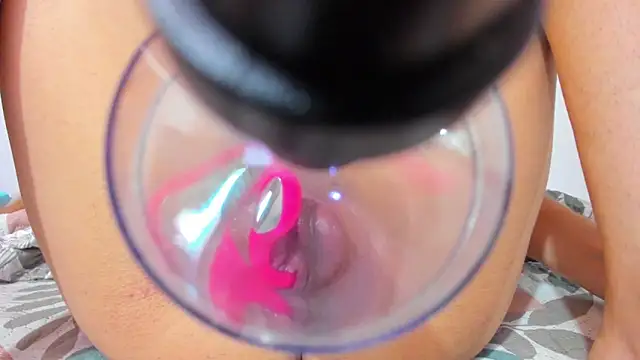 iamvicky 4 online show from February 19, 2026, 4:53 am