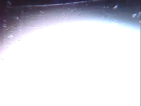 PrettyboyRed online show from October 22, 2025, 2:16 pm