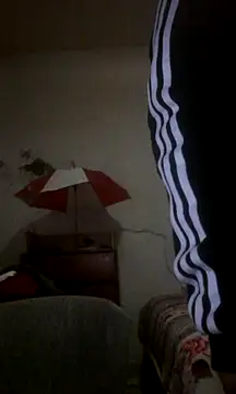 landy20cm online show from January 1, 2025, 11:38 am