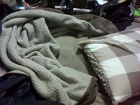 masan03 online show from February 1, 2026, 8:01 am