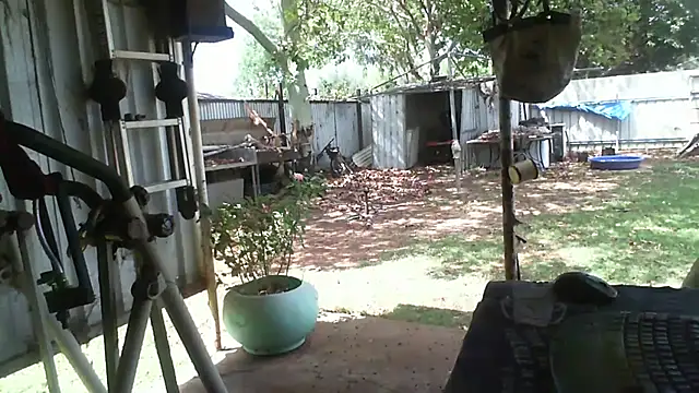 herbie010666 online show from November 14, 2025, 4:05 am