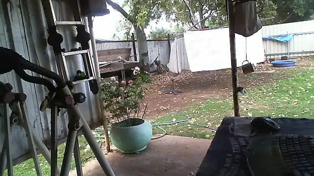 herbie010666 online show from October 18, 2025, 4:14 am