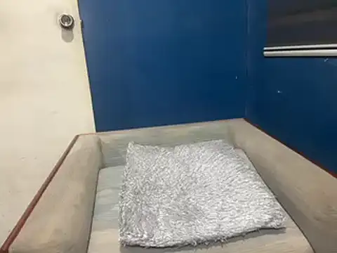 asian-doll online show from October 2, 2025, 12:41 pm