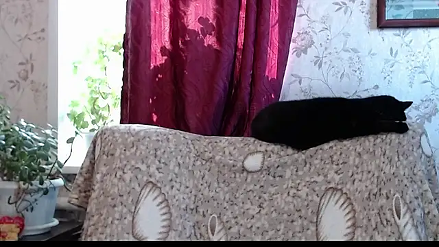 EmilyDoth online show from April 5, 2026, 4:30 am