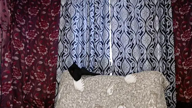 EmilyDoth online show from November 29, 2025, 4:34 am