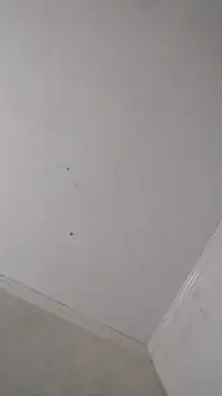 247Srokin online show from October 25, 2025, 9:08 am