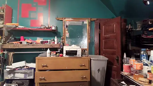 Snapshot of charactrzero chatting on February 5, 2026, 2:29 am charactrzero online show from February 5, 2026, 2:29 am