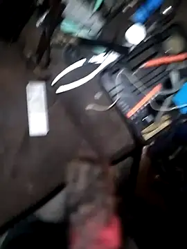 Wero4200 online show from December 3, 2025, 7:30 am