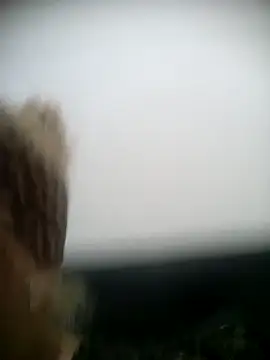 shaynarg online show from March 6, 2025, 8:27 pm