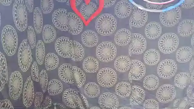 Snapshot of LunaRai chatting on February 6, 2026, 3:13 am LunaRai online show from February 6, 2026, 3:13 am