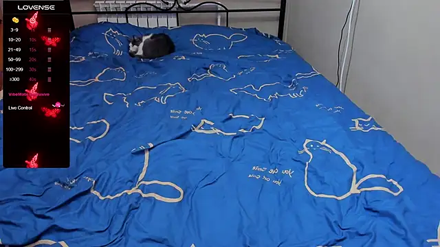 eva zero online show from October 15, 2025, 2:36 pm