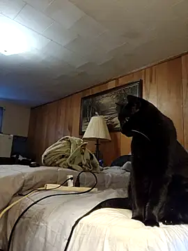 OralDesires2 online show from December 19, 2025, 8:55 pm