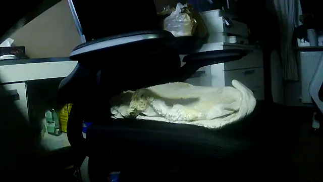 suedel65 online show from February 5, 2026, 2:29 am