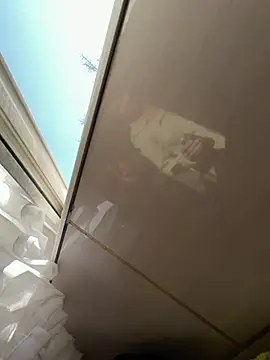 TigerOne19 online show from March 9, 2026, 7:34 am