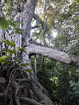 Rinku5553 online show from November 7, 2025, 2:38 am