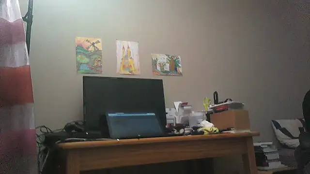 Sandra Potiche online show from November 27, 2025, 6:52 pm