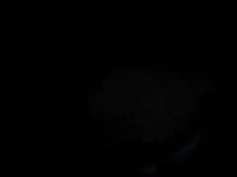 Love birdss online show from October 29, 2025, 6:56 am