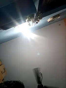 kummuduabbai online show from February 19, 2026, 8:50 pm