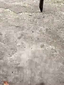 Snapshot of K-27 chatting on October 18, 2025, 1:35 pm K-27 online show from October 18, 2025, 1:35 pm