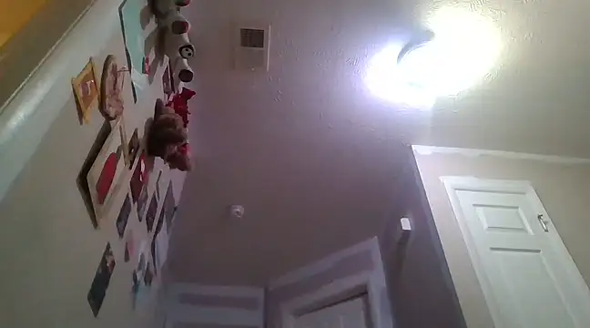 KannonBoom36 online show from January 29, 2025, 12:24 pm