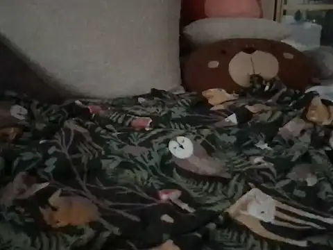 Snapshot of Perwers_41 chatting on November 2, 2025, 2:22 pm Perwers 41 online show from November 2, 2025, 2:22 pm