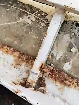 hOrnybOy 369 online show from December 15, 2024, 9:56 am