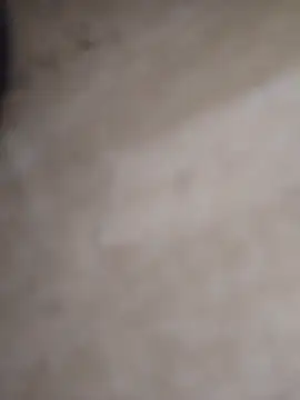 Snapshot of juniorlove69 chatting on November 23, 2025, 6:07 pm juniorlove69 online show from November 23, 2025, 6:07 pm