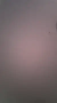 Maxmusterman20023 online show from January 18, 2025, 1:41 am