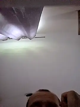 Snapshot of Roman0798 chatting on October 7, 2025, 7:53 am Roman0798 online show from October 7, 2025, 7:53 am