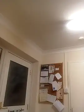 Snapshot of bigboy197311 chatting on November 8, 2025, 12:14 am bigboy197311 online show from November 8, 2025, 12:14 am