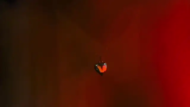 Snapshot of Youlittlepervertt_ chatting on March 1, 2026, 11:49 pm Youlittlepervertt online show from March 1, 2026, 11:49 pm